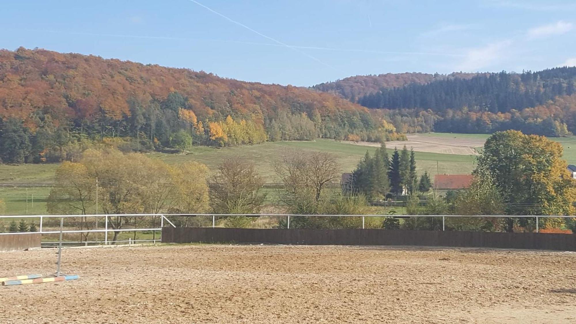 Agroturystyka Agro-Podkowka Марцишув Екстер'єр фото