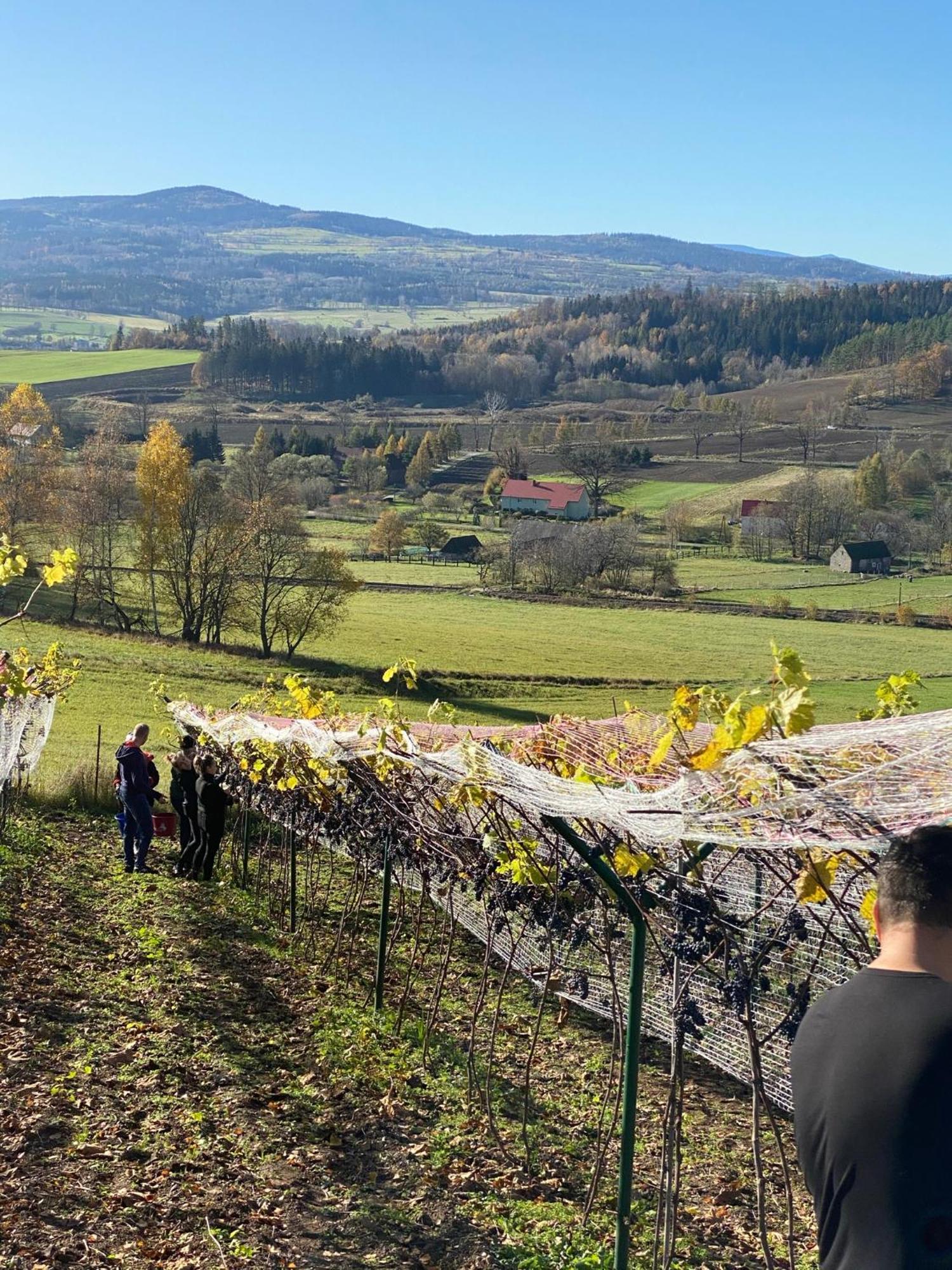 Agroturystyka Agro-Podkowka Марцишув Екстер'єр фото